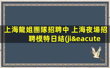 上海龍姐團隊招聘中 上海夜場招聘模特日結(jié)